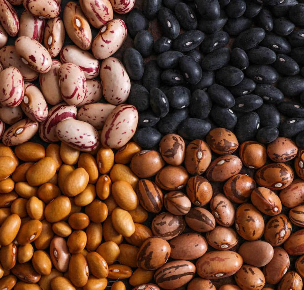 Buy Beans for sale- Bulk Beans wholesale supplier