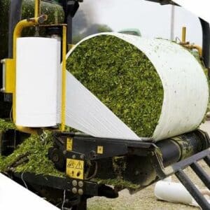 Fodder Silage wholesale