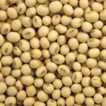 Buy Soybean for sale - Bulk Soybean wholesale supplier