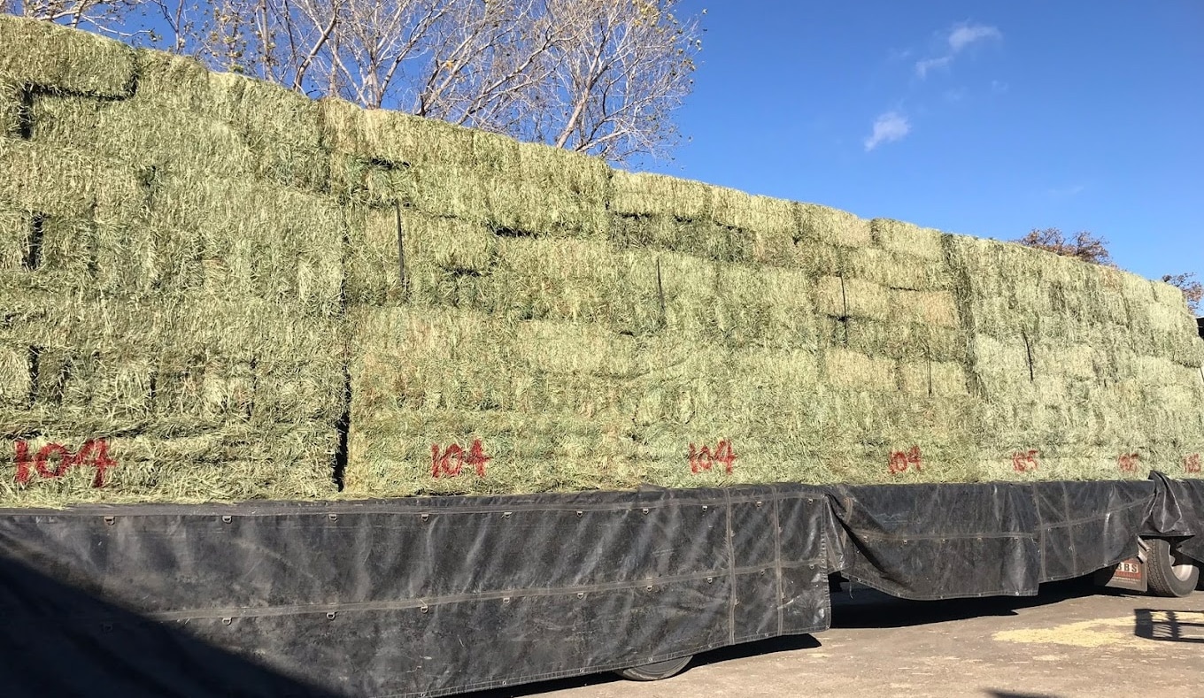 Hay Bales for Sale in the Middle East - Export and Import Guide