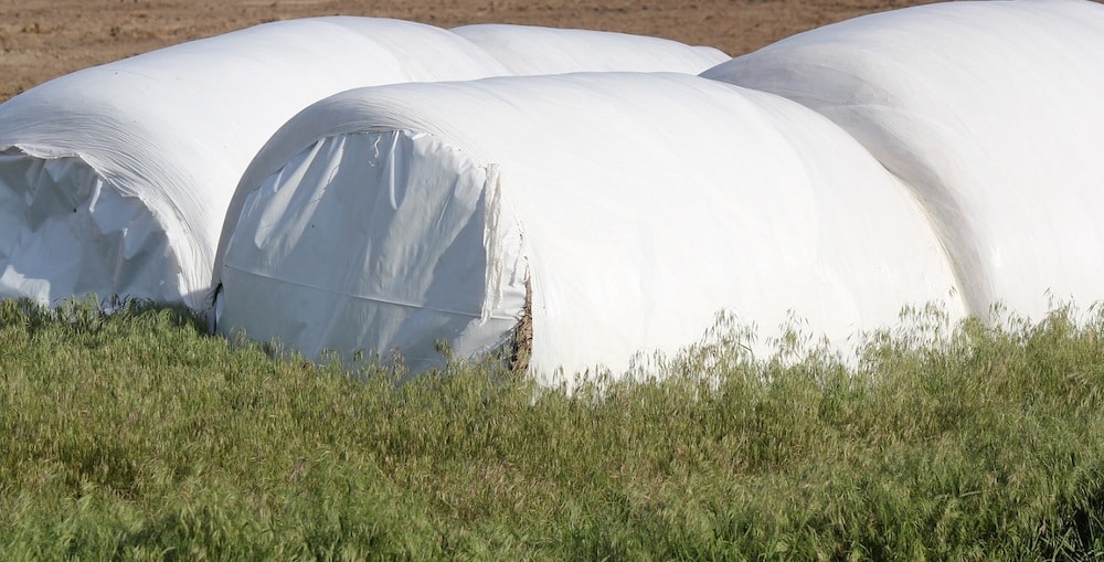 Hay and Haylage - which is Best?