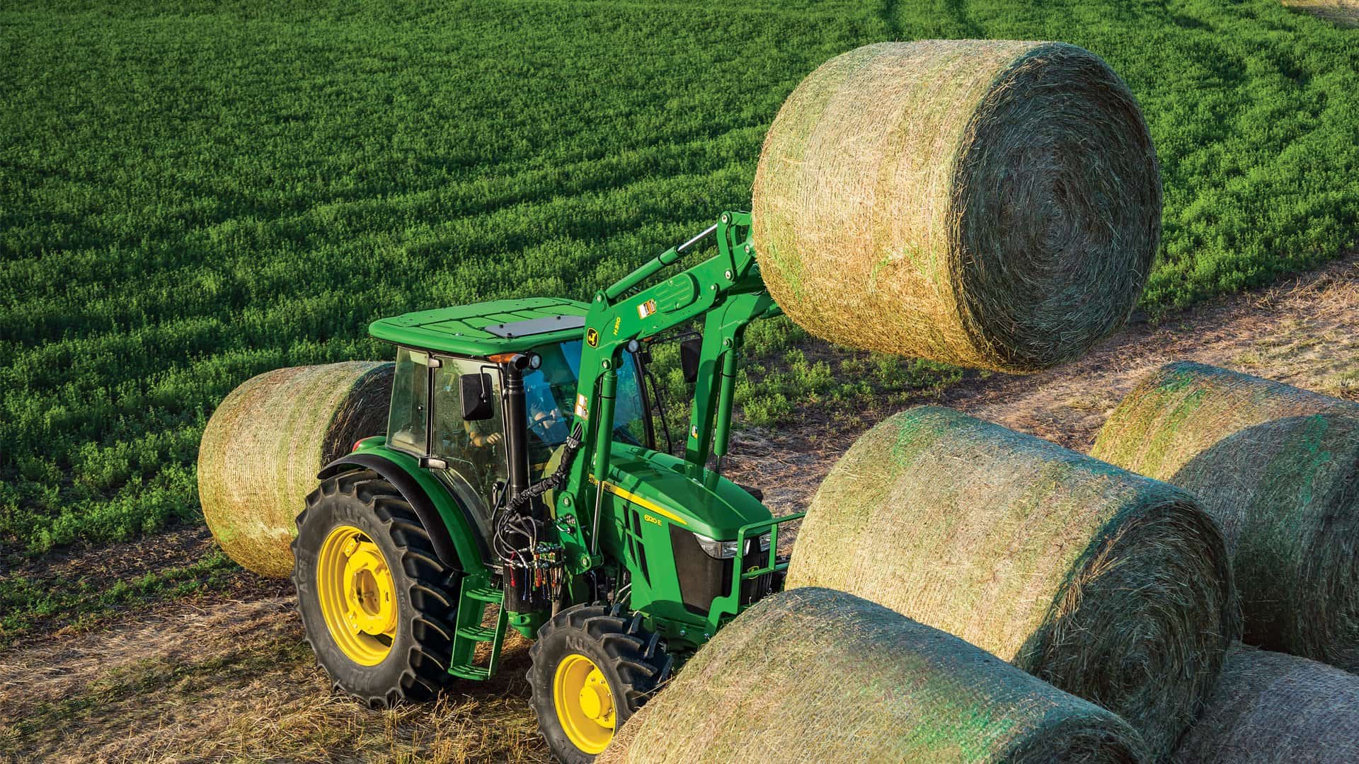 How to identify a good hay?