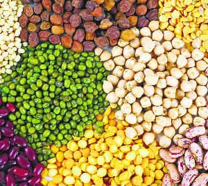 Crops in bulk