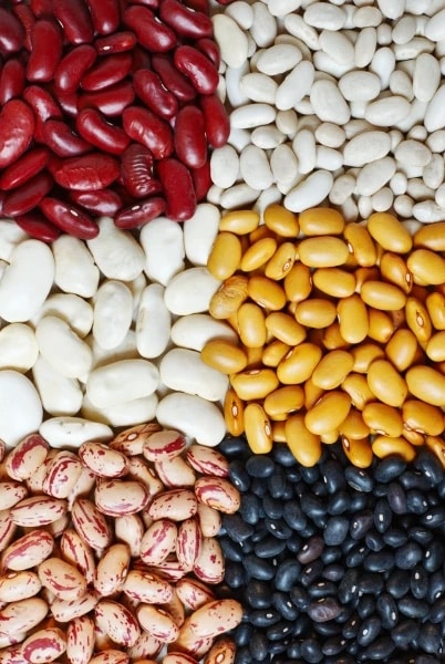 Wholesale Great Northern Beans | Broad Beans for sale in bulk | Wholesale Lima Beans supplier | Bulk Pinto Beans for sale | Cannellini Beans suppliers | Kidney Beans for sale
