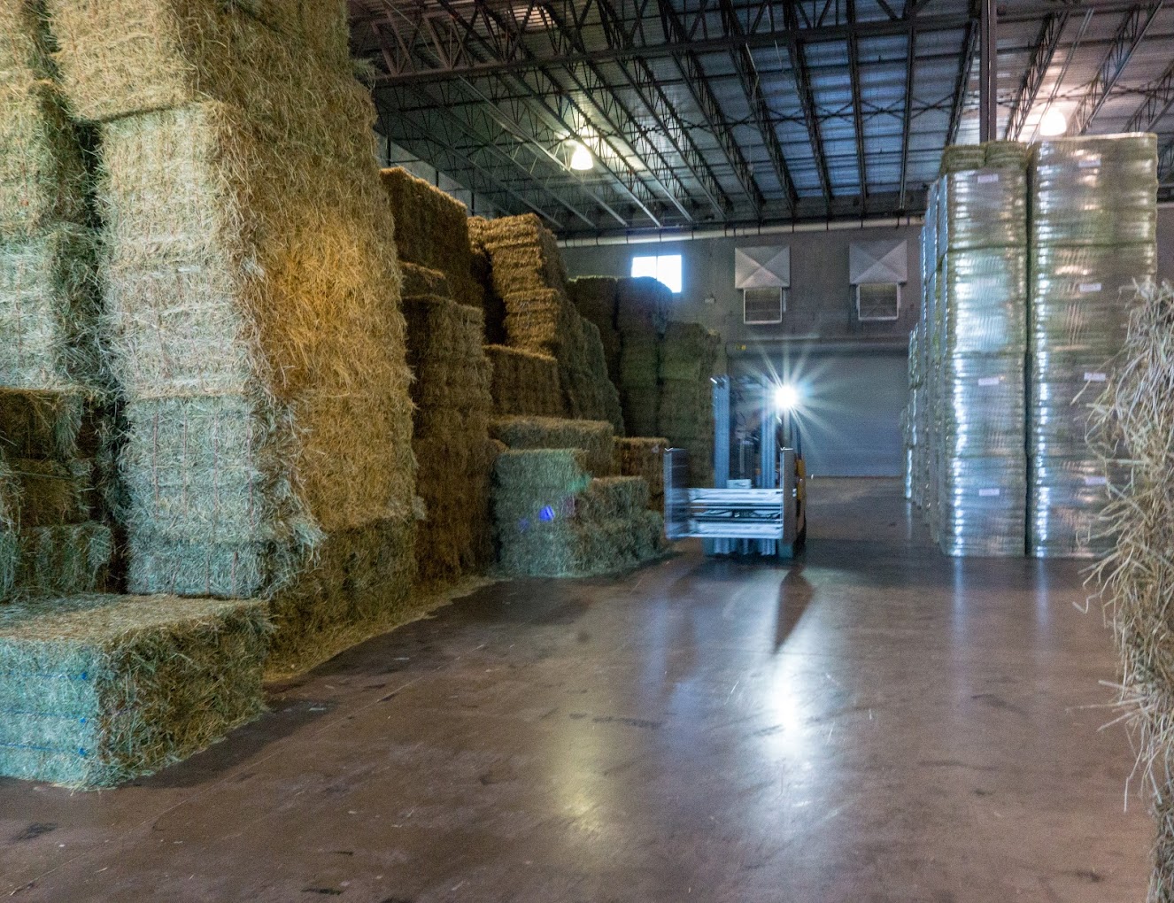 Wholesale hay bales for sale