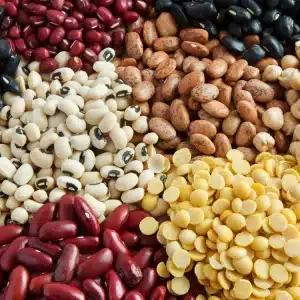 Wholesale Great Northern Beans | Broad Beans for sale in bulk | Wholesale Lima Beans supplier | Bulk Pinto Beans for sale | Cannellini Beans suppliers | Kidney Beans for sale