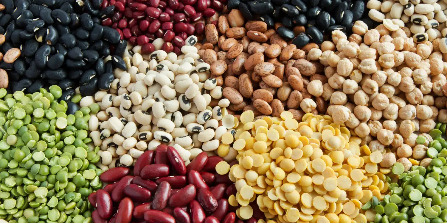 Wholesale Great Northern Beans | Broad Beans for sale in bulk | Wholesale Lima Beans supplier | Bulk Pinto Beans for sale | Cannellini Beans suppliers | Kidney Beans for sale